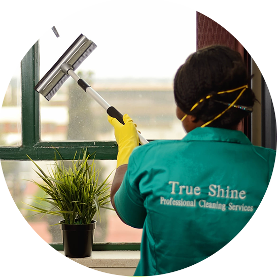 Cleaning Services Bulawayo, Window Cleaning Bulawayo, Carpet Cleaning Bulawayo, Car Wash Cleaning Zimbabwe, Office Cleaning Bulawayo, House Cleaning Bulawayo, Fumigation Services Bulawayo, Fogging Bulawayo